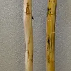 Sale Photo Thumbnail #140: 2pc Handcrafted Soto Cactus Walking Sticks
