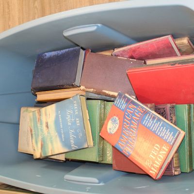 Sale Photo Thumbnail #17: A collection of vintage hardcover books, including "These Are The Virgin Islands" and "American Pilgrimage," stored inside a blue plastic storage bin.
