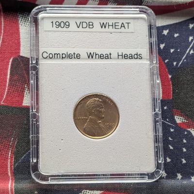 1909 VDB Lincoln Wheat Cent, Complete Wheat Heads