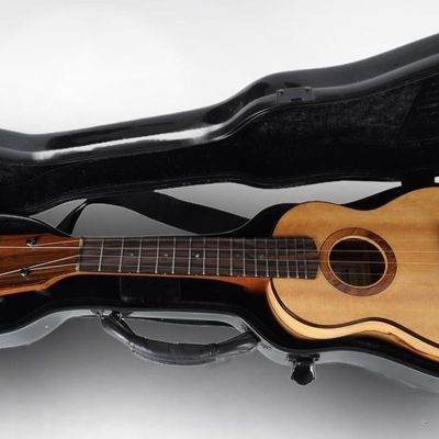 Sale Photo Thumbnail #190: ANAKONEKE CONCERT UKULELE SPALTED TAMARIND W/ CASE