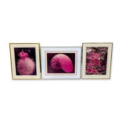 Sale Photo Thumbnail #582: 3pc Bruce Flashnick (American, 20th-21st Century) Chromogenic Photographs on Paper, Signed