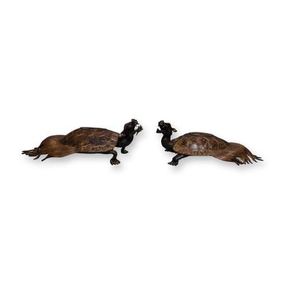 Sale Photo Thumbnail #30: Pair of Japanese Bronze Dragon-Turtle Censors