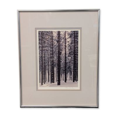 Sale Photo Thumbnail #583: Stig Rossby (American 20th-21st century) Silver Gelatin Print, Black Forest, Signed