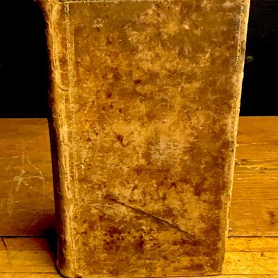 Goodwin, Philo A. Biography of Andrew Jackson. R. Hart Towner, 1835. First Edition.