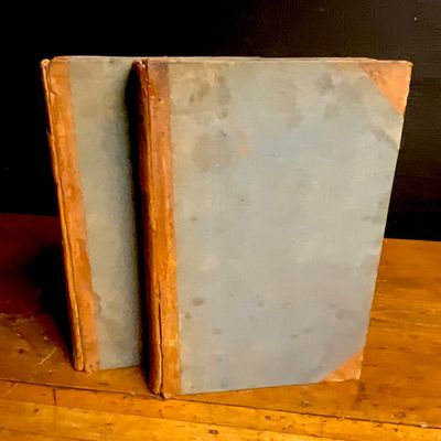 New York State Court for the Correction of Errors. Cases and Points, 1834-1843. Multiple Volumes.