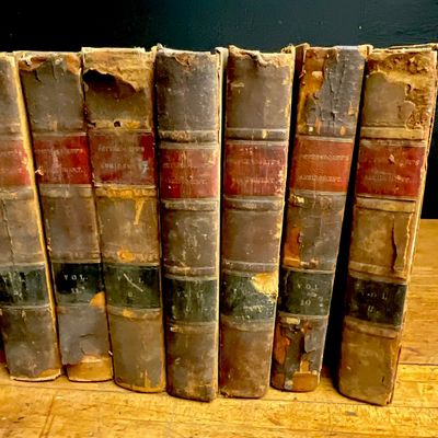 Petersdorff, Charles. A Practical and Elementary Abridgment of the Cases. Treadway, 1829-1831.