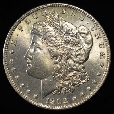 Sale Photo Thumbnail #254: 1902 MORGAN DOLLAR CH BU