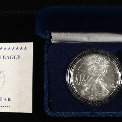 Sale Photo Thumbnail #304: 2005 AMERICAN SILVER EAGLE