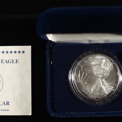 Sale Photo Thumbnail #303: 2004 AMERICAN SILVER EAGLE