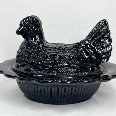 MOSSER BLACK HEN ON NEST