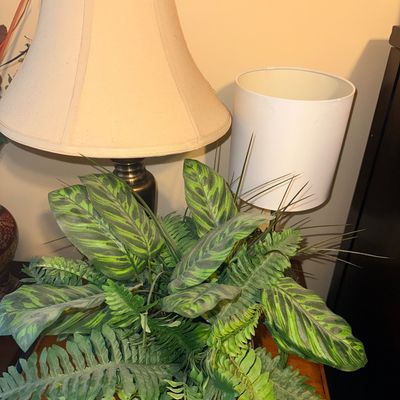 Faux potted houseplant arrangement featuring artificial calathea and fern leaves, displayed alongside table lamps.