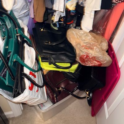 Assorted women's handbags and purses in various colors and styles, stored in a closet alongside hanging clothing.