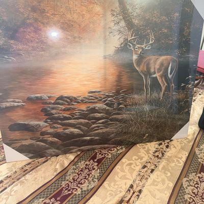 Large wrapped canvas print featuring a male white-tailed deer near a river in a autumn landscape, still in original plastic packaging...