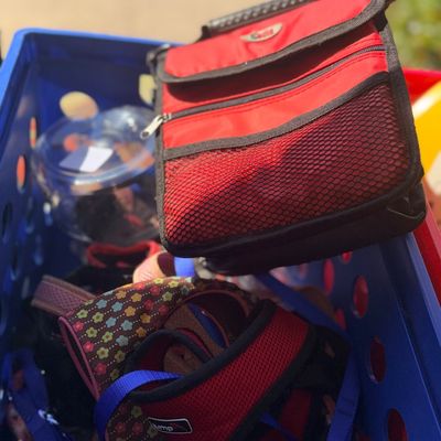 Blue plastic crate containing pet accessories, including a red fabric travel bag, various dog harnesses, and leashes.