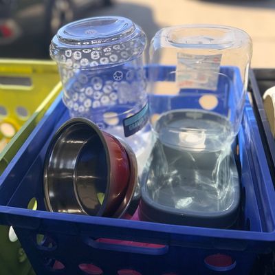 Selection of pet supplies, including gravity water dispensers and stainless steel pet bowls, stored inside a blue plastic crate.