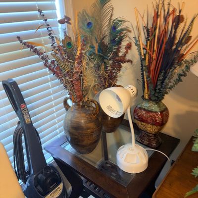 Collection of decorative items on a dark wood glass-top side table, featuring ceramic urns with dried peacock feathers and floral...