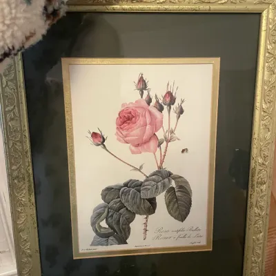 Sale Photo Thumbnail #27: gold framed floral art print
