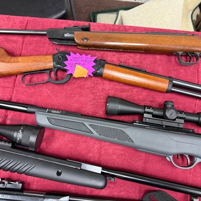 Pellet guns