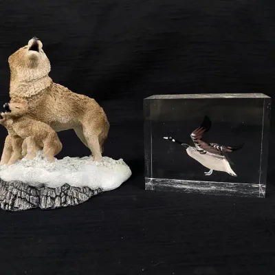 Sale Photo Thumbnail #194