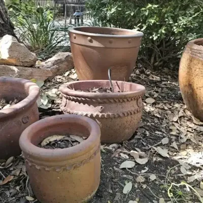 Terracotta Symphony: An Assortment of Earthenware Vessels