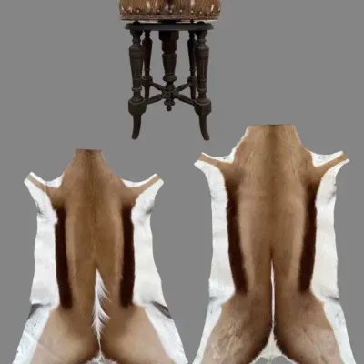 Antique Napoleon III Piano Stool in Exotic Axis Deer Hide & Genuine African Springbok Pelts