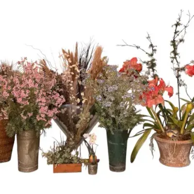 Stunning Large Collection of Faux Floral & Botanical Arrangements 
