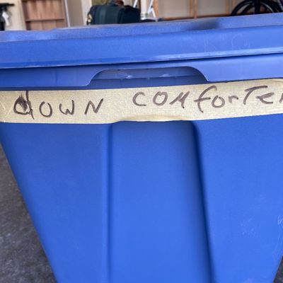 Sale Photo Thumbnail #761: Down comforter in tote