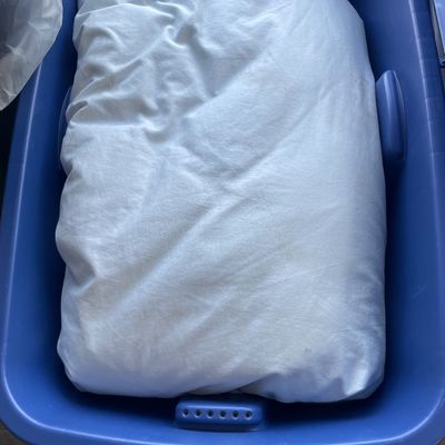 Sale Photo Thumbnail #760: Down comforter in tote