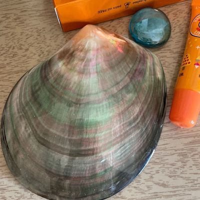 Sale Photo Thumbnail #261: Large shell and gift set