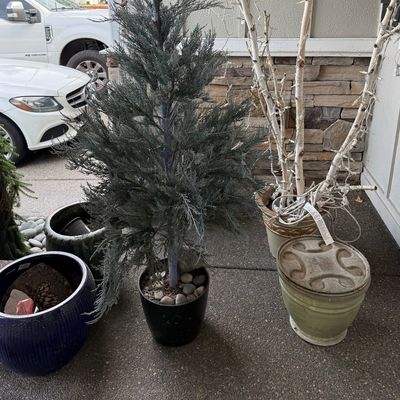 Assorted outdoor decor items including a potted artificial evergreen tree, decorative birch branches with string lights, and several...