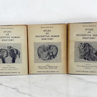 Sale Photo Thumbnail #196: Vintage three-volume set of Sobotta-Uhlenhuth's "Atlas of Descriptive Human Anatomy," published by Hafner Publishing Company, Inc., featuring detailed medical illustrations and diagrams.