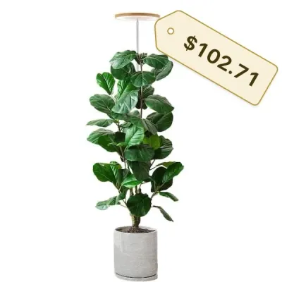 Sale Photo Thumbnail #846