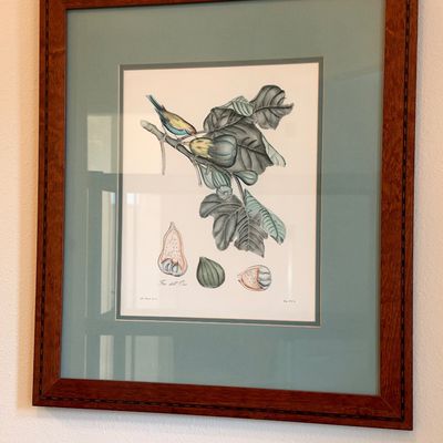 Sale Photo Thumbnail #6: Framed botanical print 