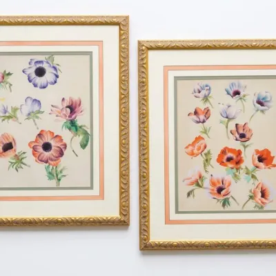 Sale Photo Thumbnail #23: Pair of framed botanical watercolor prints featuring colorful anemone flowers, presented in ornate gold-finished frames with multi-layered matting.