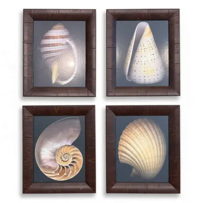 Sale Photo Thumbnail #49: Set of four framed seashell prints, featuring detailed illustrations of various shells on a dark background, housed in matching dark brown textured frames.