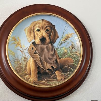 Sale Photo Thumbnail #47: A charming collection of seven vintage porcelain collector plates featuring various dog breeds and puppies in outdoor sporting scenes. Each plate is mounted in a round, dark wood frame with a gold-toned inner bezel. The artwork depicts breeds such as Gold