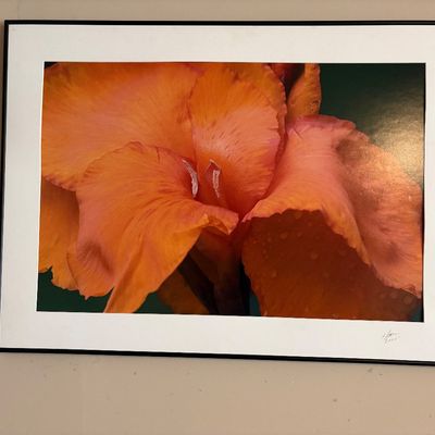 Sale Photo Thumbnail #20