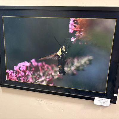 Sale Photo Thumbnail #36