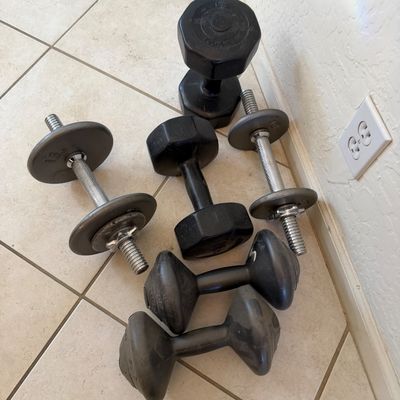Sale Photo Thumbnail #140: Assorted hand weights and dumbbells, including two adjustable metal dumbbells and several rubber-coated hex and bone-shaped weights.