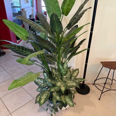 Sale Photo Thumbnail #302: Large faux floor plant featuring broad green leaves and variegated foliage in a white pot, paired with a black floor lamp.