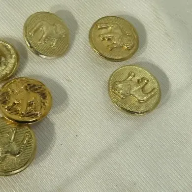 Set of six vintage gold-tone metal shank buttons featuring embossed elephant motifs, shown next to a dime for scale.