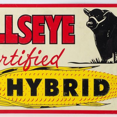 Sale Photo Thumbnail #576: Bullseye Hybrid seed corn sign