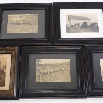 Sale Photo Thumbnail #692: (5) Framed farm photographs