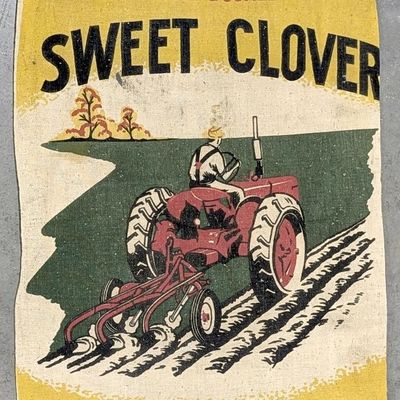 Sale Photo Thumbnail #652: Sweet Clover cloth bag