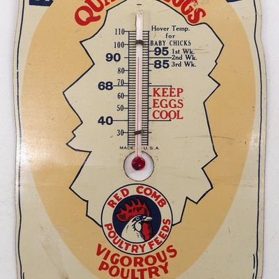 Sale Photo Thumbnail #587: Red Comb Quality Eggs dealer thermometer