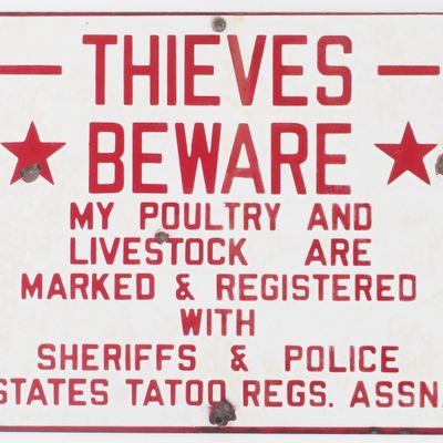 Sale Photo Thumbnail #615: Thieves Beware sign
