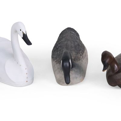 Five Decoys