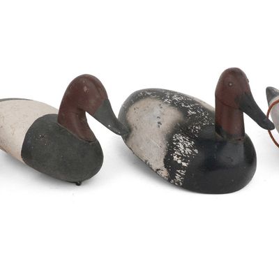 Four Canvasback Duck Decoys