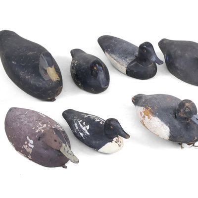 Eight Assorted Duck Decoys