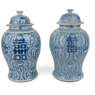 Two Similar Chinese Blue and White Porcelain Ginger Jars